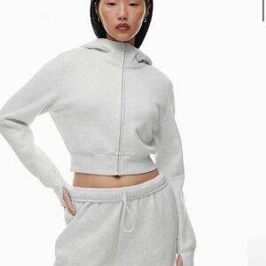 Aritzia Perfect Shrunken Hoodie - NWT